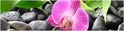 AG 28 Орхидея №2