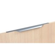 RT111GR.1/320/400 Ручка торцевая. серый